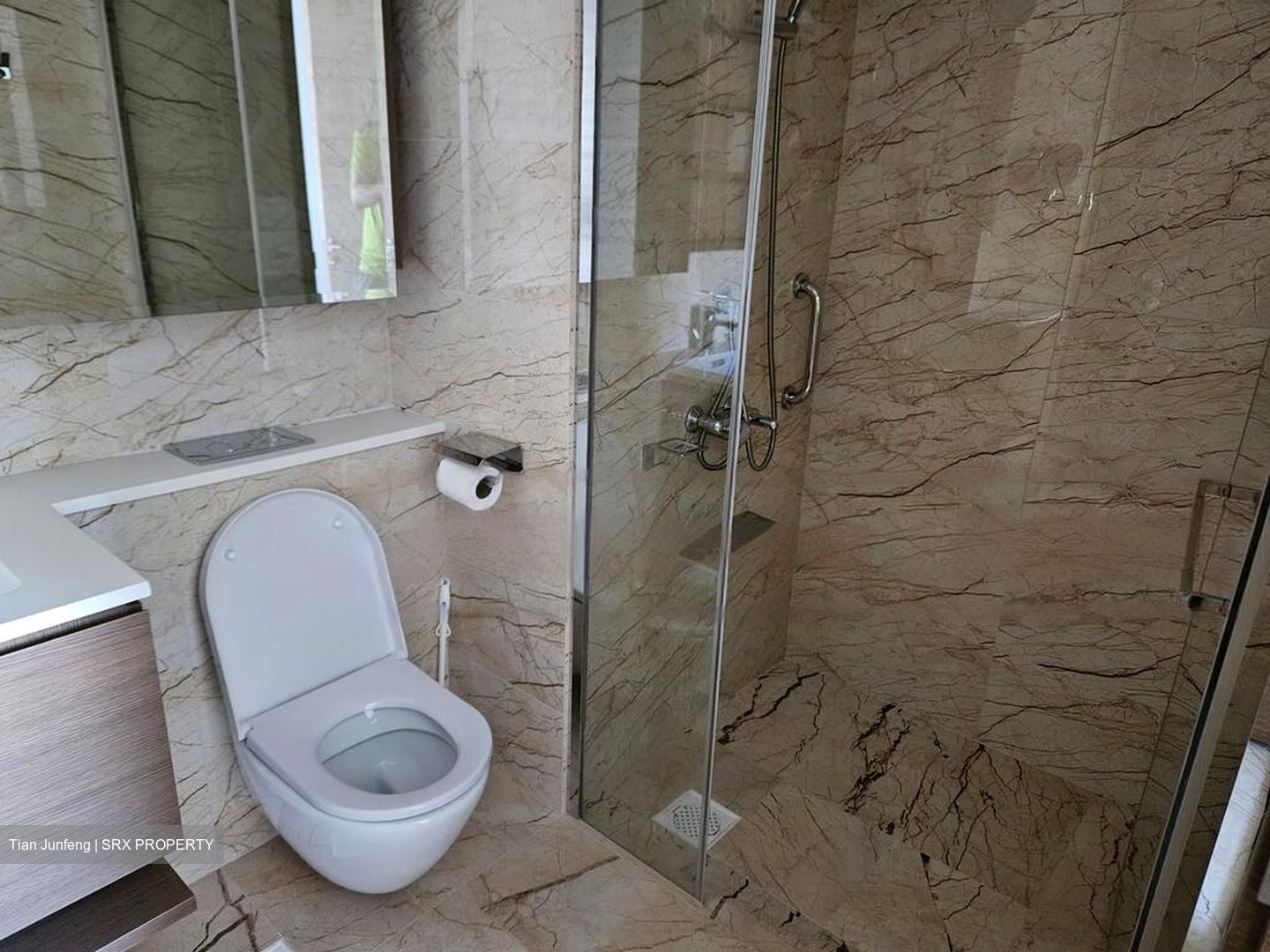 Queens Peak (D3), Condominium #461083091